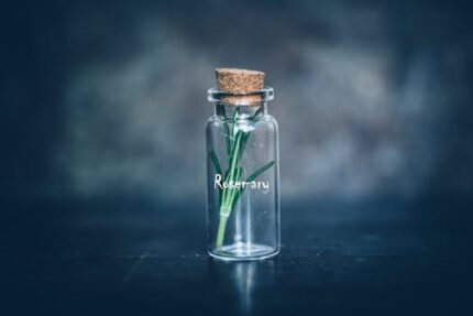 4 Oz PET Spice Jar With Green Cap