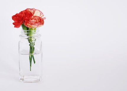 50 ml Frosted Glass Jar With Silver Lined Cap