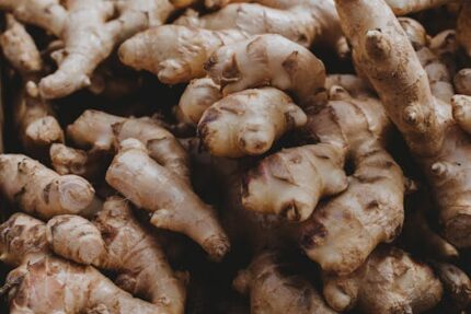Angelica Root 5%