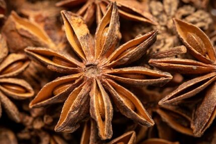 Anise Star Essential Oil (China)ORGANIC