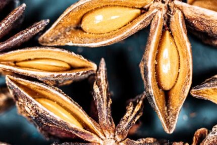Aniseed Essential Oil (Spain)