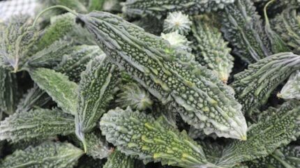 BITTER MELON WHOLE (KARELA)