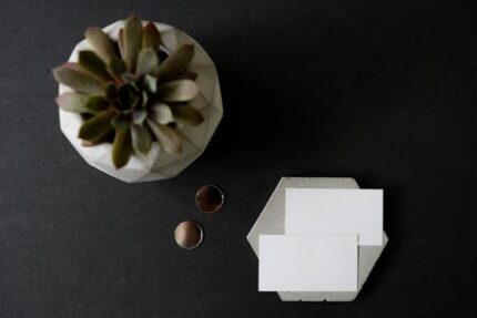 BOSWELLIA PIECES