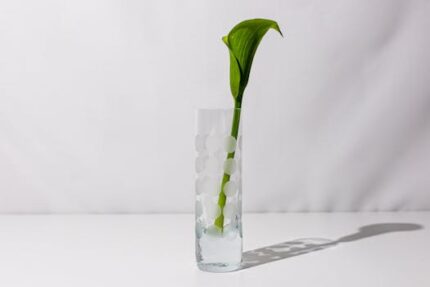 Bergamot Floral Water