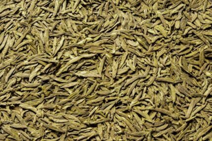 Camellia Seed Oil ORGANIC
