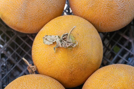 Cantaloupe Chunks Cantaloupe Chunks - Image 1