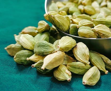 Cardamom Essential Oil