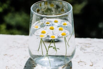 Chamomile Roman Floral Water
