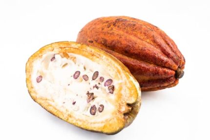 Cocoa Butter Refined And Deodorized