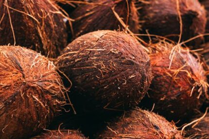 Coconut Fractionated Oil MCT Organic