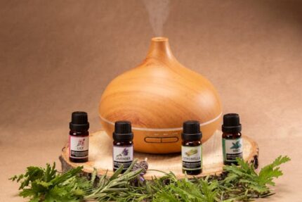 Coconut Mint Fragrance Oil