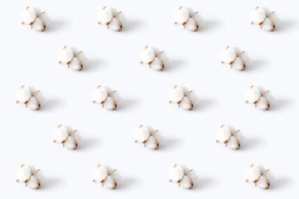 Cotton Seed Powder