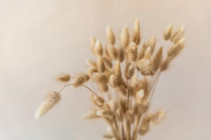 Eczema Cream 98% Natural