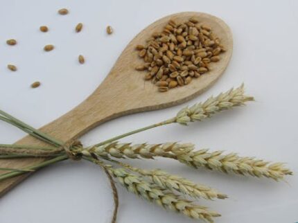 GRAIN OF PARADISE SEEDS WHOLE ORGANIC