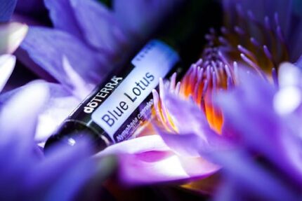 Lotus Blue Absolute Oil
