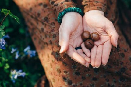 Macadamia Nut Oil Virgin ORGANIC