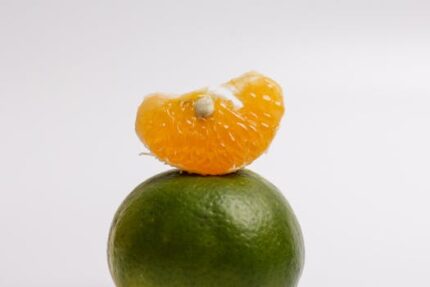 Orange Blossoms Dried