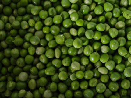 Pea Protein Powder Organic