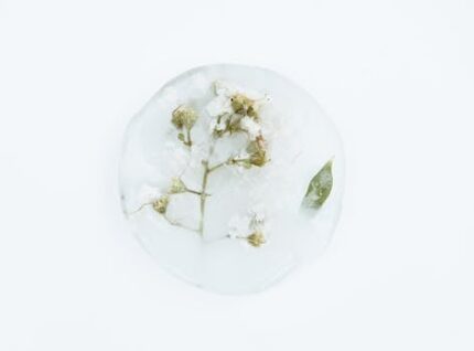 Propylparaben Crystal Powder