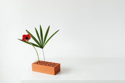 Red Clay French