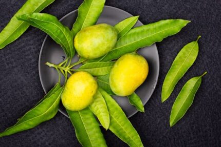 Ripe Mango Fruit Powder