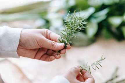 Rosemary Antioxidant CO2