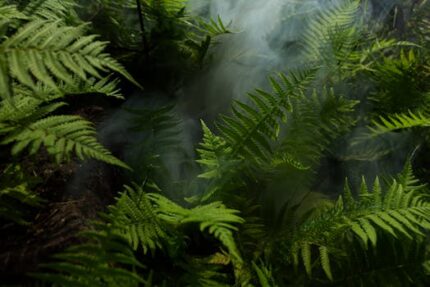 Smoke Oxide